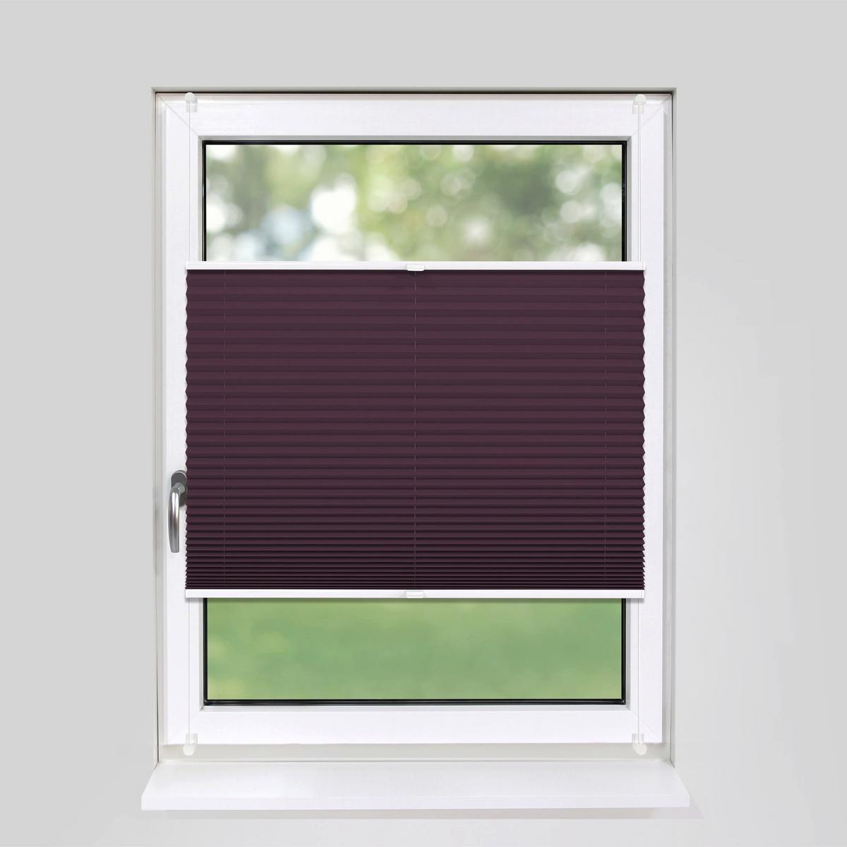 PLISSEE Basic 120 x 150cm Klemmfix ohne Bohren - Violett, Textil (120/150cm) - Deco-Raum