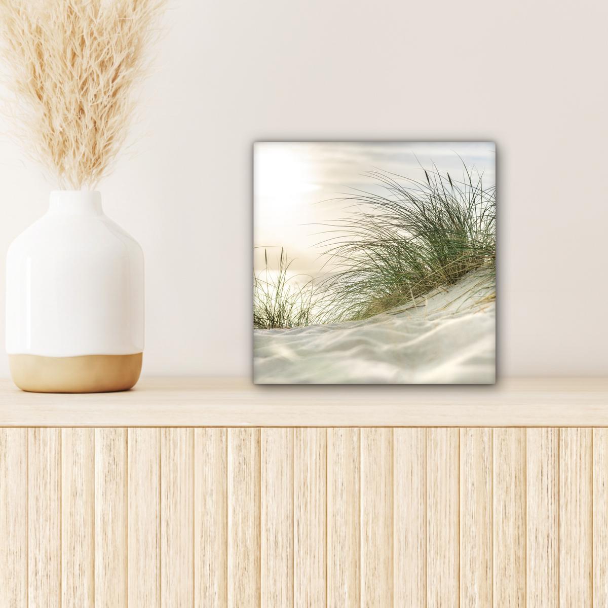 LEINWANDBILD Dünen mit Strandhafer in der Sonne des Nationalparks Schleswig-Holsteinisches Wattenmeer Deko Wohnzimmer 20x20 cm - Creme, Textil (20/20cm) - MuchoWow