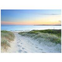 FOTOTAPETE Strand Meer 200x140 - Multicolor, Papier (200/140cm) - Wallarena