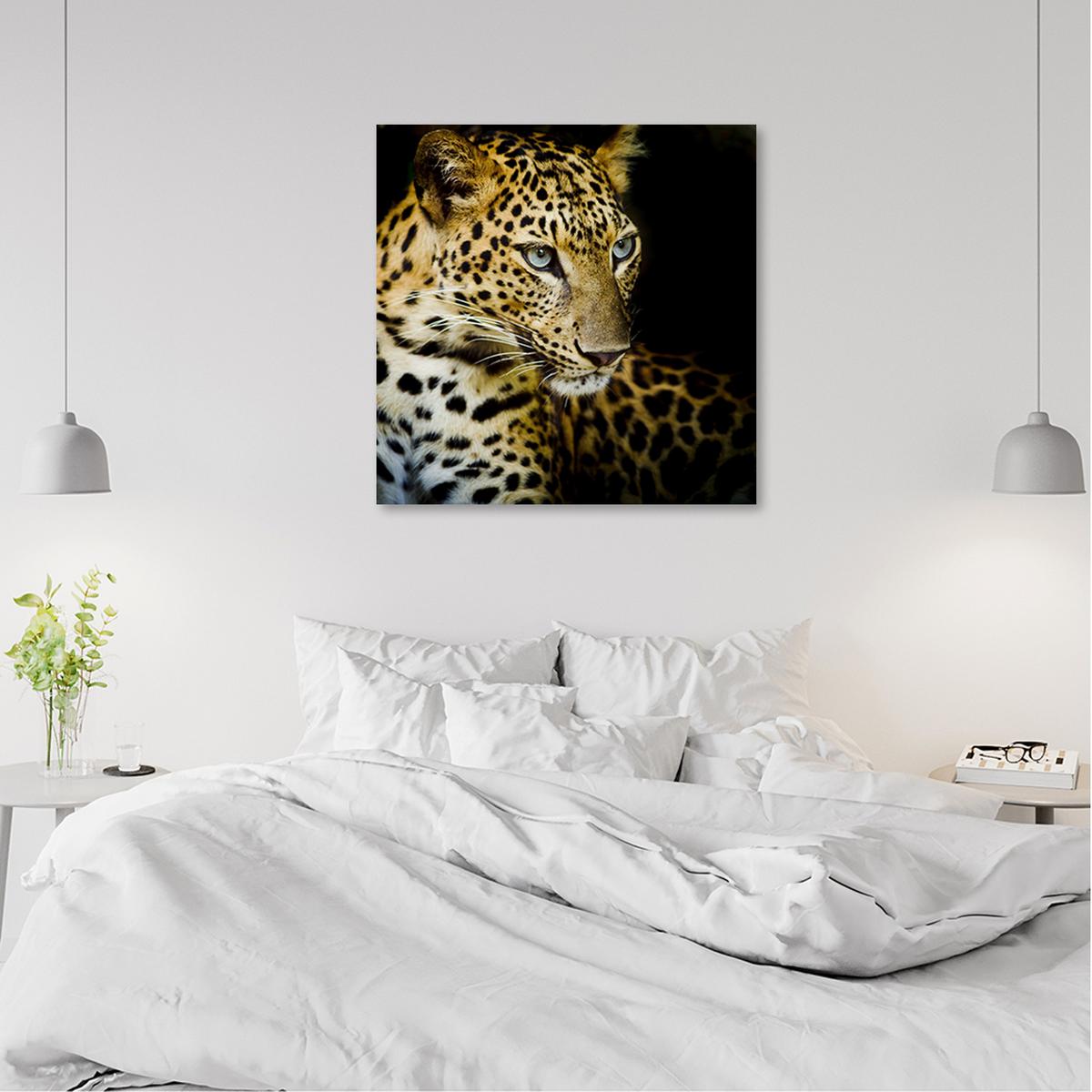 WANDBILD majestätischer leopard - Orange, Textil (50/50cm) - Feeby