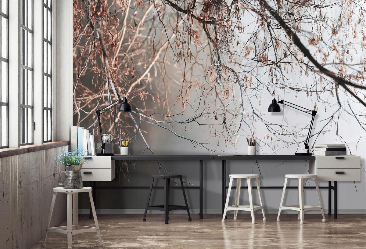 FOTOTAPETE Zweige Baum Beton Wohnzimmer 150x105 - Multicolor, Papier (150/105cm) - Wallarena
