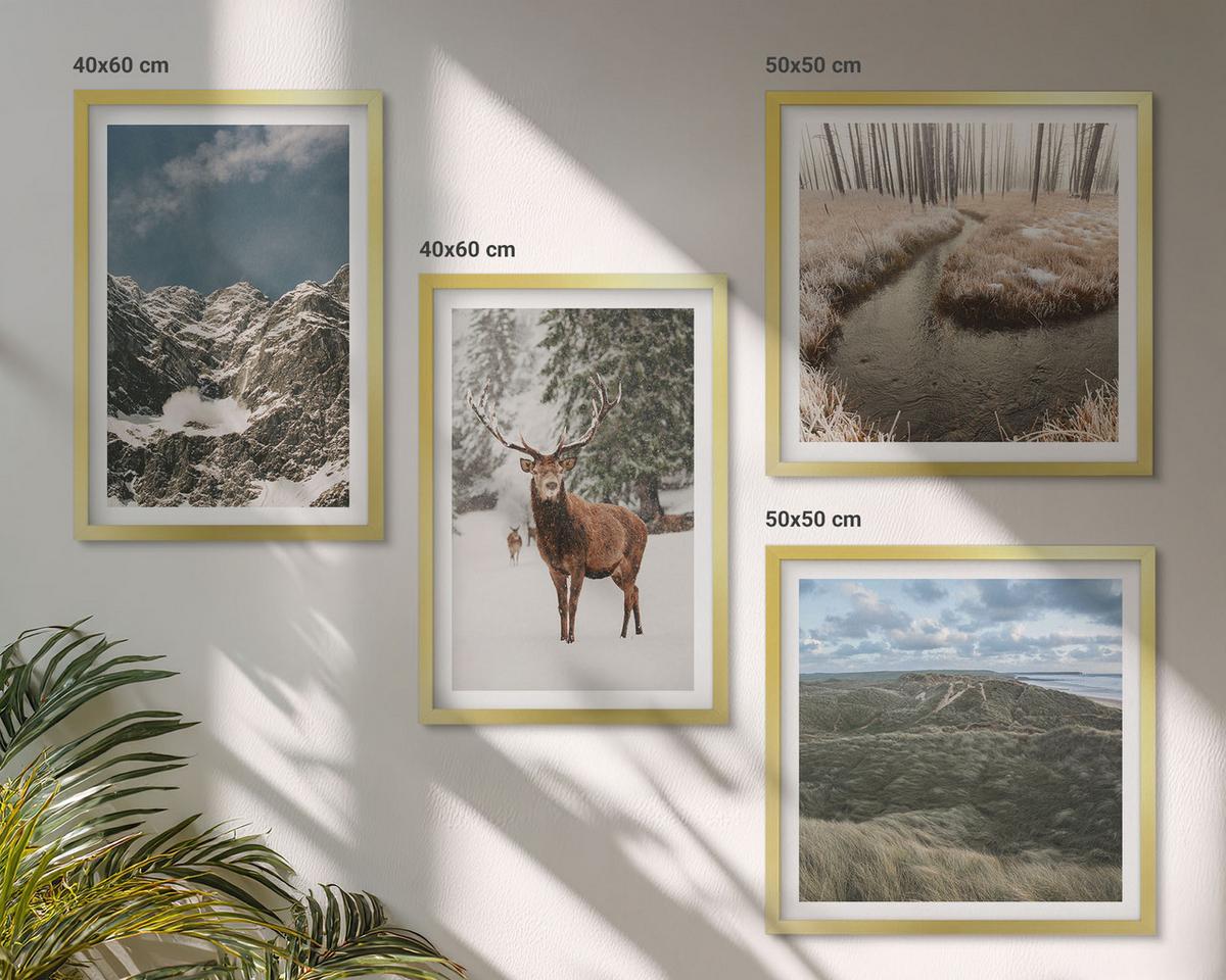BILDER SET 4er Set - 50x50 cm & 40x60 cm Goldrahmen - Berge, Schnee, Hirsche, Waldlandschaft - Goldfarben, Kunststoff (50/50cm) - TULUP