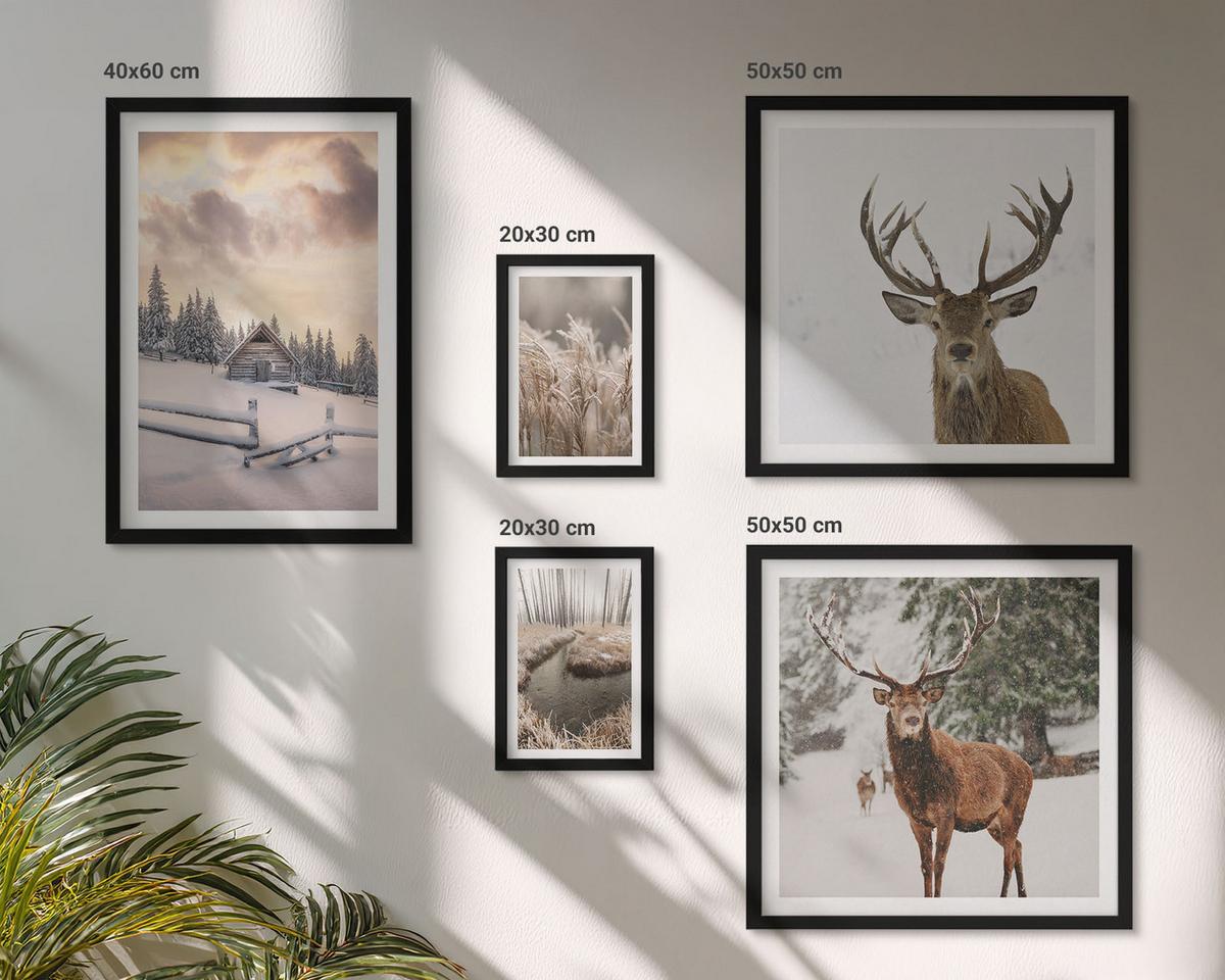 BILDER SET 5er Set - 50x50 cm & 20x30 cm & 40x60 cm Schwarzer Rahmen - Winterlandschaft mit Hirschen - Schwarz, Kunststoff (40/60cm) - TULUP