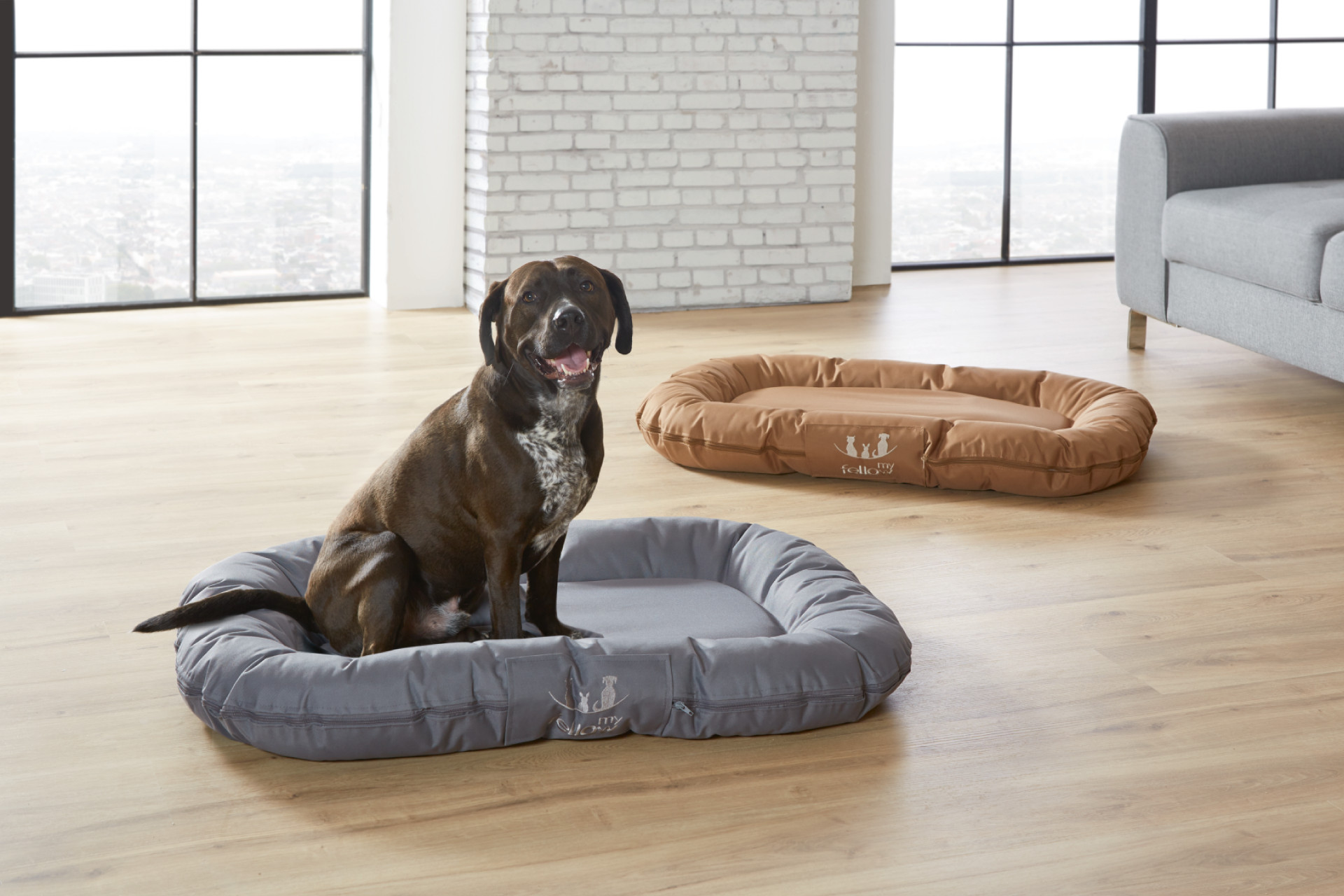 Sommer Strand Mehr Online Entdecken Momax