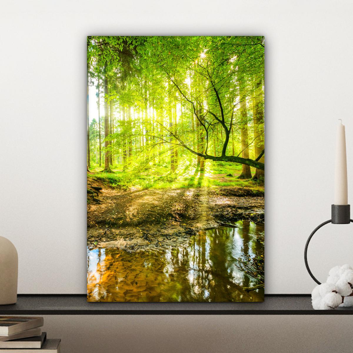LEINWANDBILD Wald - Landschaft - Wasser - Bäume - Sonne - Grün - Natur Deko Wohnzimmer 20x30 cm - Grün, Textil (20/30cm) - MuchoWow