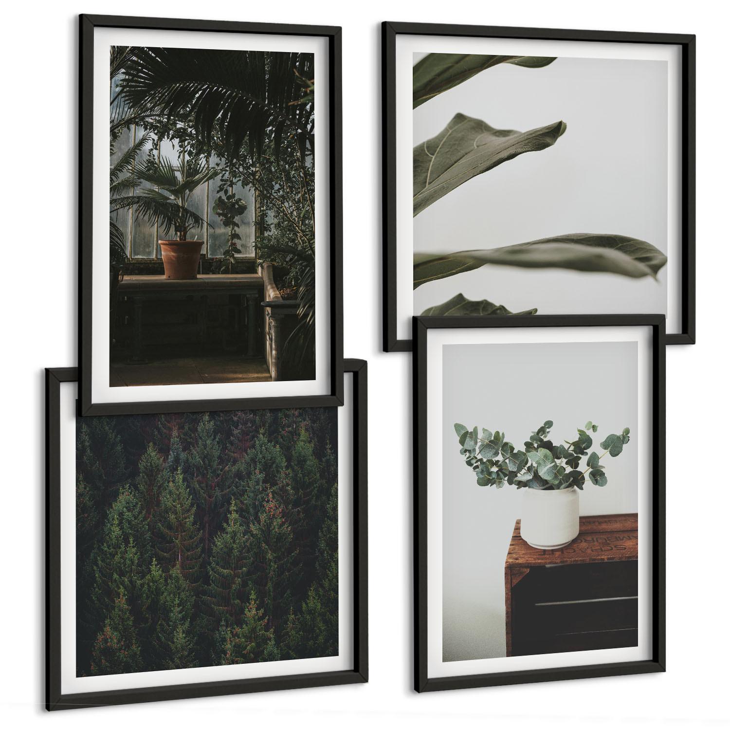 BILDER SET 4er Set - 50x50 cm & 40x60 cm Schwarzer Rahmen - Rustikale Topfpflanzen - Schwarz, Kunststoff (50/50cm) - TULUP