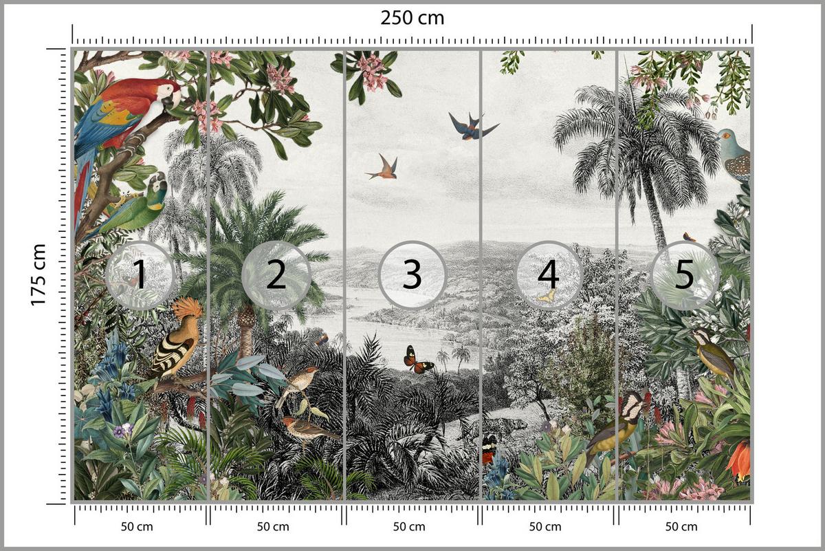FOTOTAPETE für Wohnzimmer Tropenpapageien Vögel Palmen 250x175 - Gelb/Rot, Papier (250/175cm) - Muralo