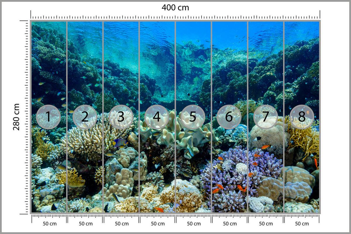 FOTOTAPETE Unterwasserwelt Korallenriff Bunte Fische Meer Natur 400x280 - Türkis/Gelb, Papier (400/280cm) - Muralo