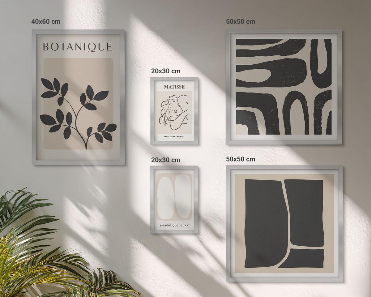 BILDER SET 5er Set - 50x50 cm & 20x30 cm & 40x60 cm Silberner Rahmen - Matisses stilvolle Pflanzenbilder - Silberfarben, Kunststoff (40/60cm) - TULUP