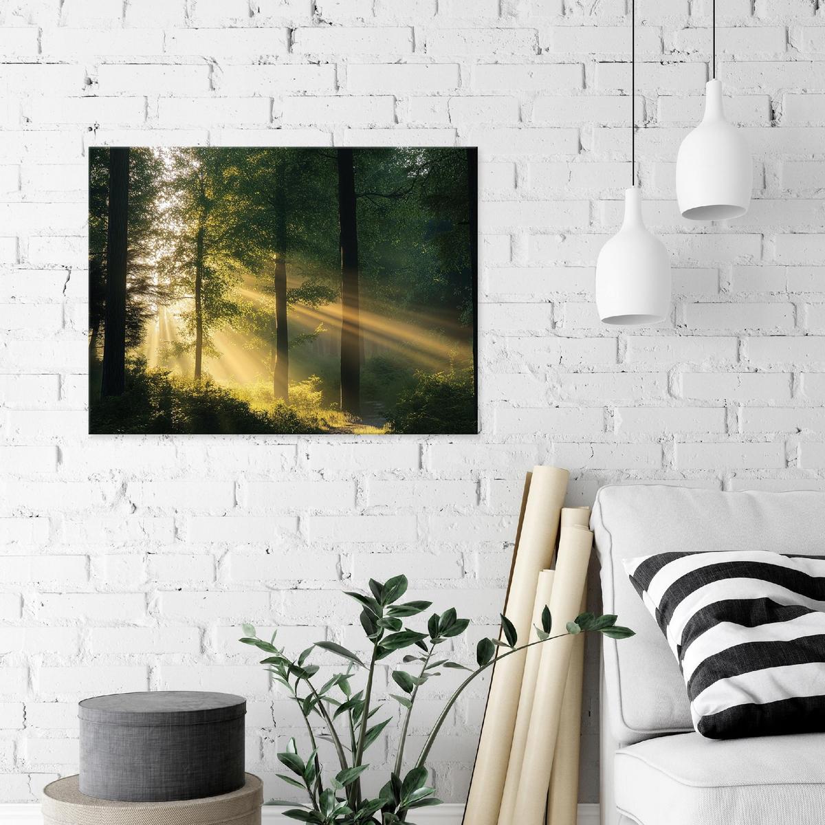 LEINWANDBILD Wald Natur Modern Wohnzimmer 120x80 - Multicolor, Holzwerkstoff (120/80cm) - Wallarena