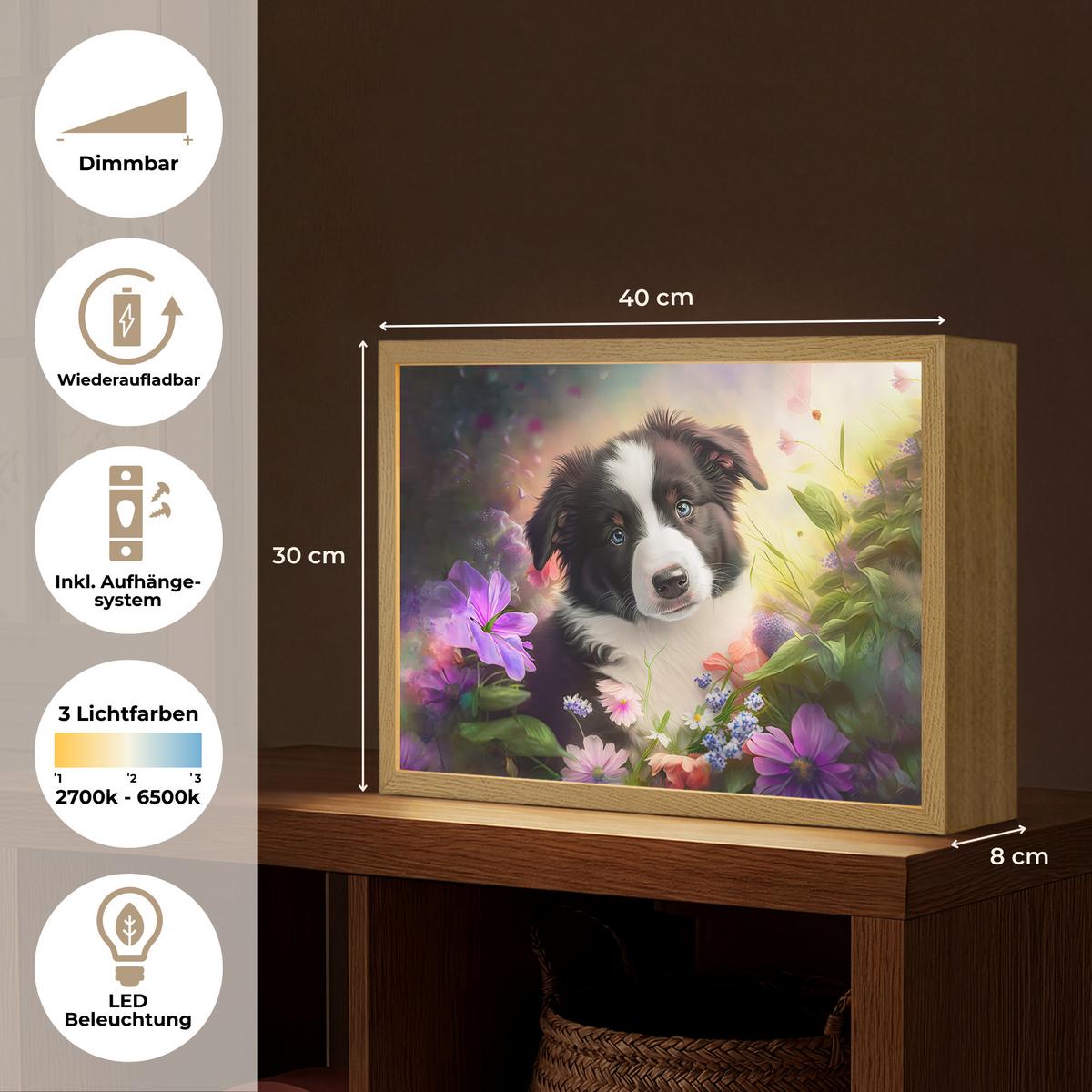 WANDLEUCHTE MIT AKKU Welpe - Sonne - Blumen - Natur - Border Collie - Hund 40x30 cm - Violett, Holzwerkstoff (40/30/8cm) - OnlyWow