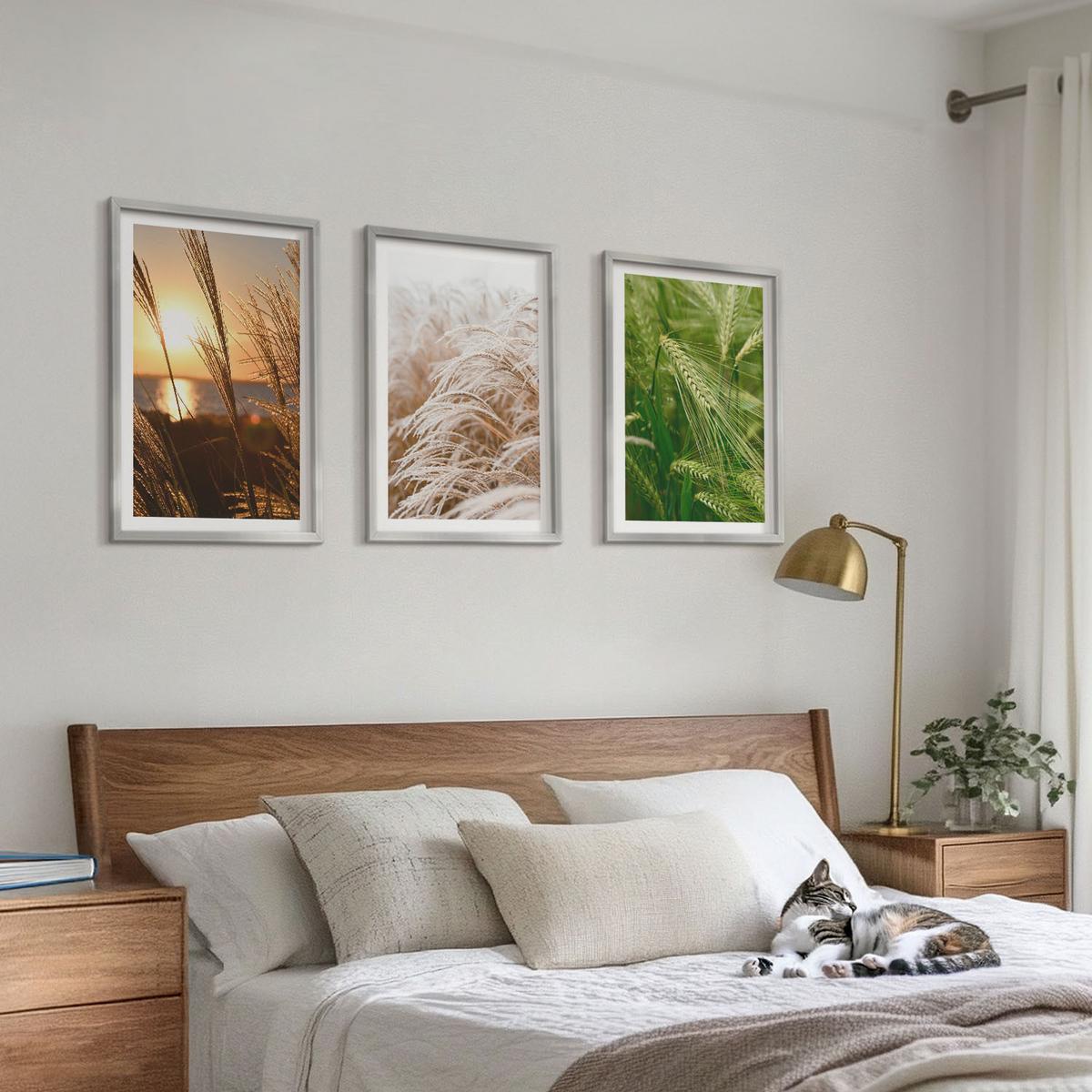 BILDER SET 3er Set - 40x60 cm Silberner Rahmen - Gräser farbenfrohe Natur - Silberfarben, Kunststoff (40/60cm) - TULUP