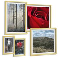 BILDER SET 5er Set - 50x50 cm & 20x30 cm & 40x60 cm Goldrahmen - Rote Rosen auf pferdegrauem Hintergrund - Goldfarben, Kunststoff (40/60cm) - TULUP