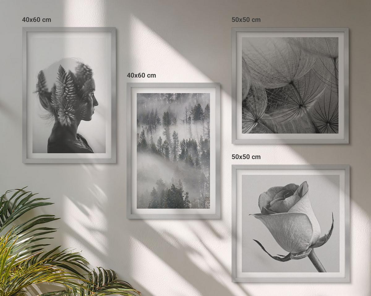 BILDER SET 4er Set - 50x50 cm & 40x60 cm Silberner Rahmen - Waldnebelporträt einer Frau - Silberfarben, Kunststoff (50/50cm) - TULUP