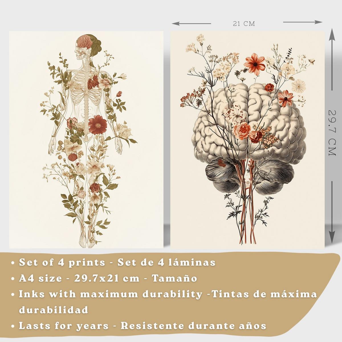POSTER Set aus 4 Anatomie Mensch Dekorative Drucke und Wandbilder mit Blumen Ganzkörper Gehirn Hand und Herz Stil Größe Leichter Holzrahmen A4 - Beige, Papier (21/29.7/3cm) - Nacnic