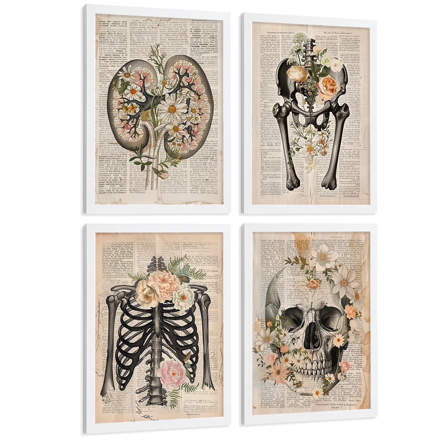 POSTER Set aus 4 Anatomie Drucke und Wandbilder mit Nieren Becken Knochen Hüfte Rippen Wirbelsäule Schädel Antiker Buch Stil Größe Weißer Rahmen A4 - Weiß, Papier (21/29.7/3cm) - Nacnic