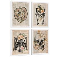 POSTER Set aus 4 Anatomie Drucke und Wandbilder mit Nieren Becken Knochen Hüfte Rippen Wirbelsäule Schädel Antiker Buch Stil Größe Weißer Rahmen A4 - Weiß, Papier (21/29.7/3cm) - Nacnic