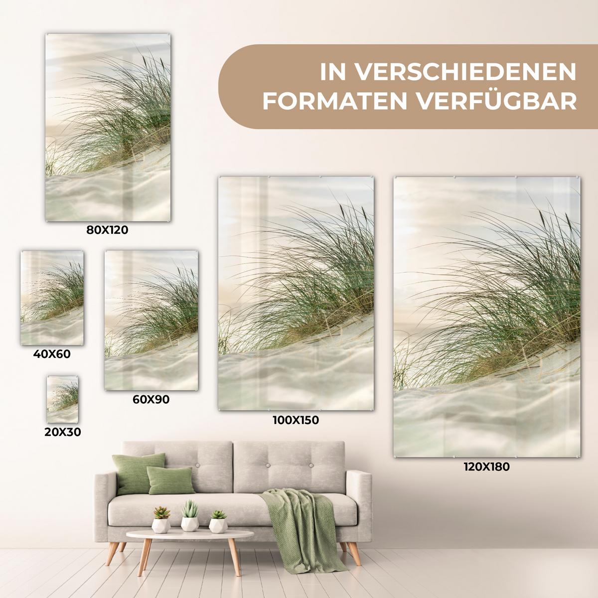ACRYLGLASBILD Dünen mit Strandhafer in der Sonne des Nationalparks Schleswig-Holsteinisches Wattenmeer 80x120 cm - Creme, Glas (80/120cm) - MuchoWow