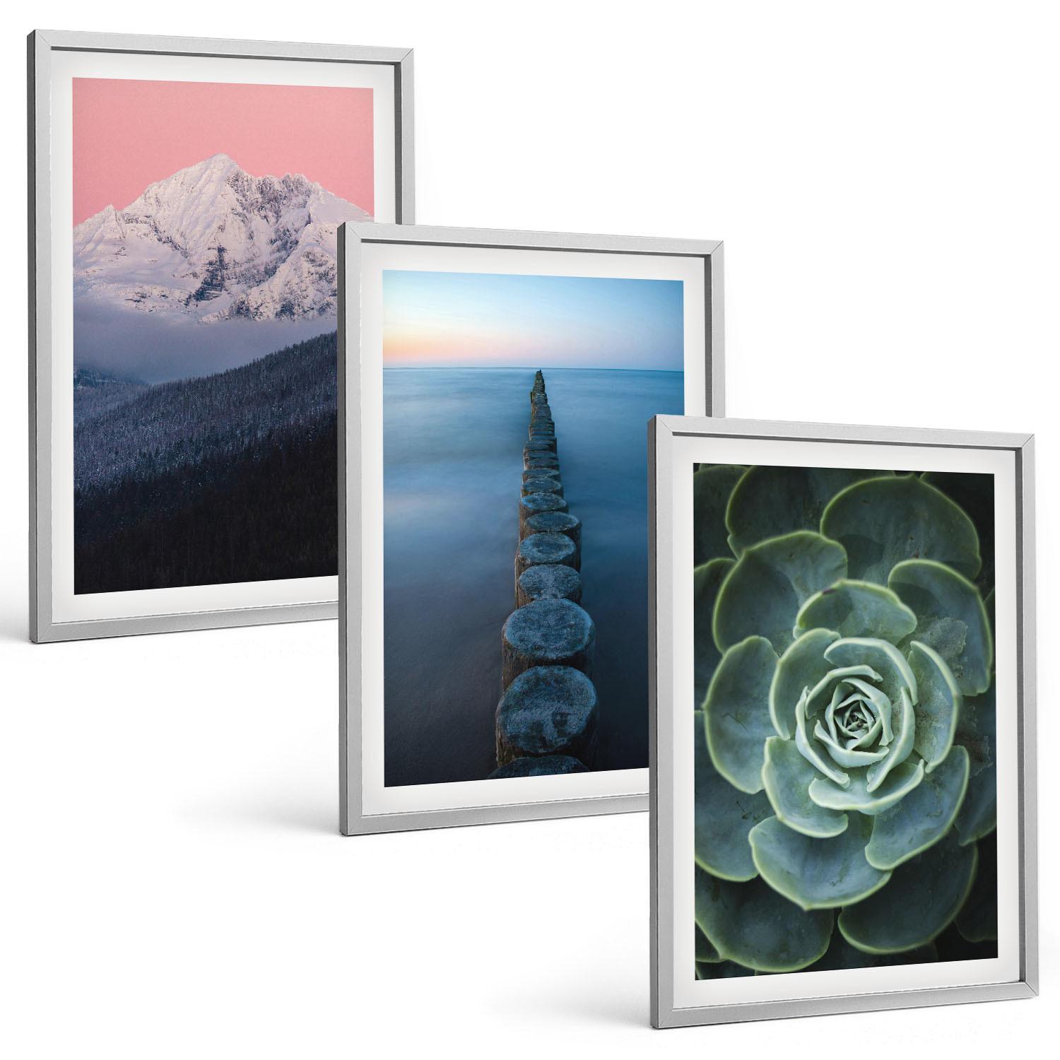 BILDER SET 3er Set - 40x60 cm Silberner Rahmen - Berge, rosa Himmel, Wasser, Sukkulente - Silberfarben, Kunststoff (40/60cm) - TULUP