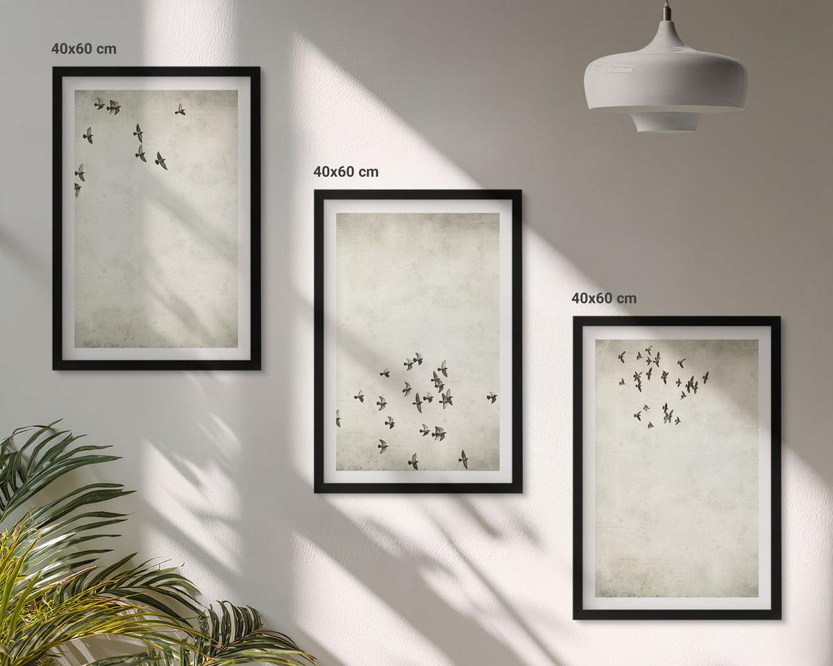 BILDER SET 3er Set - 40x60 cm Schwarzer Rahmen - Minimalistische Vogelmalerei - Schwarz, Kunststoff (40/60cm) - TULUP