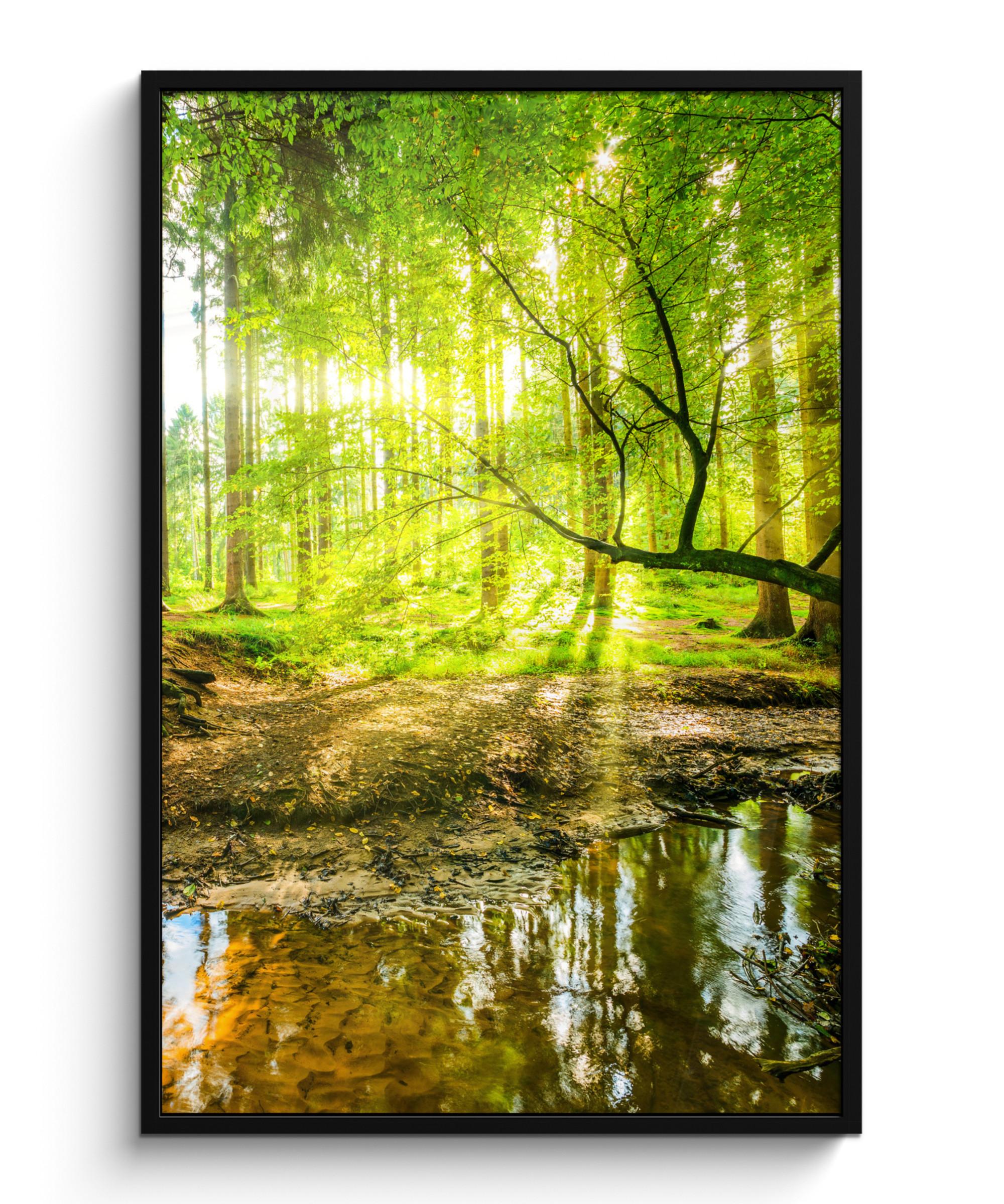 POSTER MIT RAHMENGERAHMTES BILD Wald - Landschaft - Wasser - Bäume - Sonne - Grün - Natur Bilderleiste 80x120 cm - Grün, Papier (80/120cm) - MuchoWow