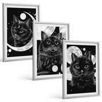 BILDER SET 3er Set - 40x60 cm Silberner Rahmen - Schwarze Katzen, Mond, Weltraum - Silberfarben, Kunststoff (40/60cm) - TULUP
