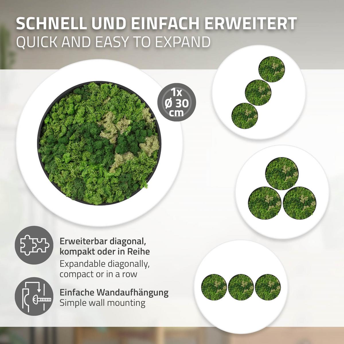 MOOSBILD Rund Ø 30 cm Mooswand Indoor mit Echtem Islandmoos und Holzrahmen Grün Pflegefrei - Salbeigrün, Naturmaterialien (30/30/3cm) - ECD-Germany