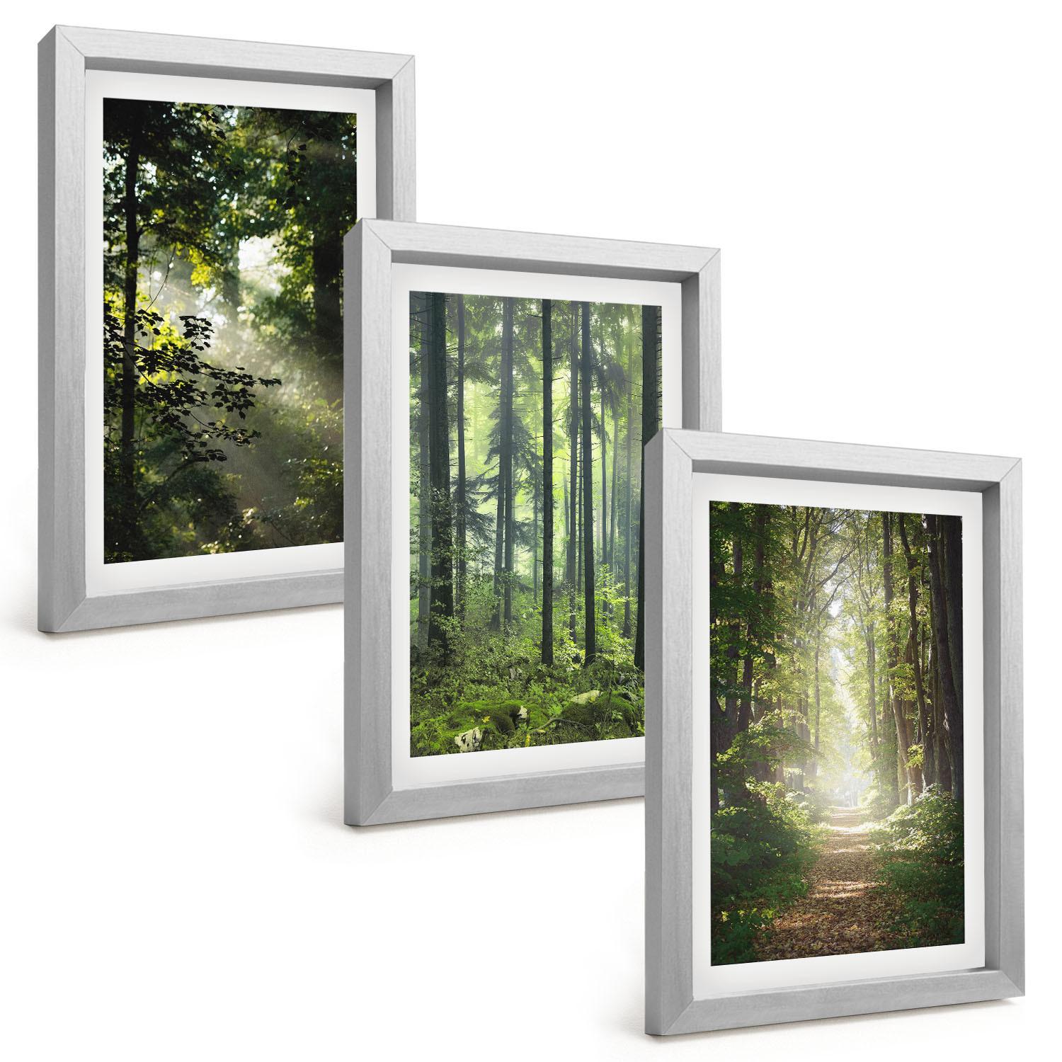 BILDER SET 3er Set - 20x30 cm Silberner Rahmen - Grüne Wälder mit Lichtstrahlen - Silberfarben, Kunststoff (20/30cm) - TULUP