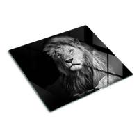 GLASPLATTE 60x52 cm Löwe - Anthrazit, Glas (60/52cm) - TULUP