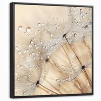 LEINWAND Bilder mit Rahmen - Löwenzahn - Abstrakt - Natur - Beige - 50x50 - Braun, Textil (50/50cm) - MuchoWow