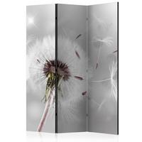 PARAVENT Akustik 3-tlg 135x172 cm Pusteblume Natur - Grau, Holz/Textil (135/172/3cm) - Muralo