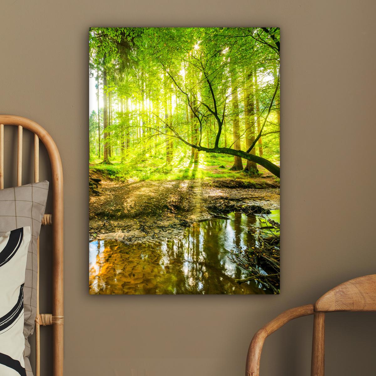 LEINWANDBILD Wald - Landschaft - Wasser - Bäume - Sonne - Grün - Natur Wandbild Wohnzimmer 60x80 cm - Grün, Textil (60/80cm) - MuchoWow