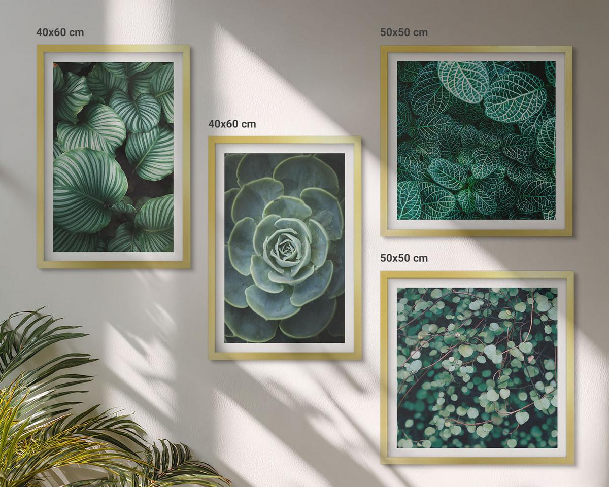 BILDER SET 4er Set - 50x50 cm & 40x60 cm Goldrahmen - Grüne, saftige Blätter - Goldfarben, Kunststoff (50/50cm) - TULUP