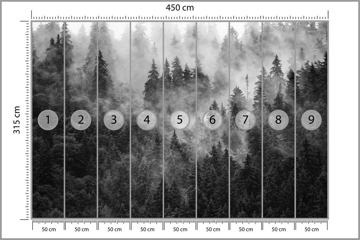 FOTOTAPETE für Wohnzimmer Dichter Nebel Forst Bäume 450x315 - Schwarz/Weiß, Papier (450/315cm) - Muralo