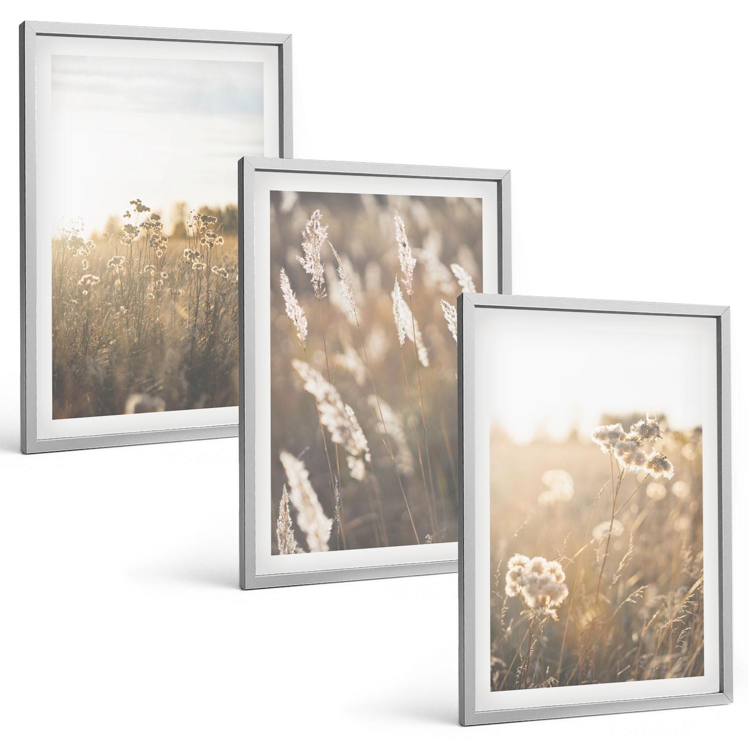 BILDER SET 3er Set - 40x60 cm Silberner Rahmen - Landschaftsgrasblumen Wärme - Silberfarben, Kunststoff (40/60cm) - TULUP