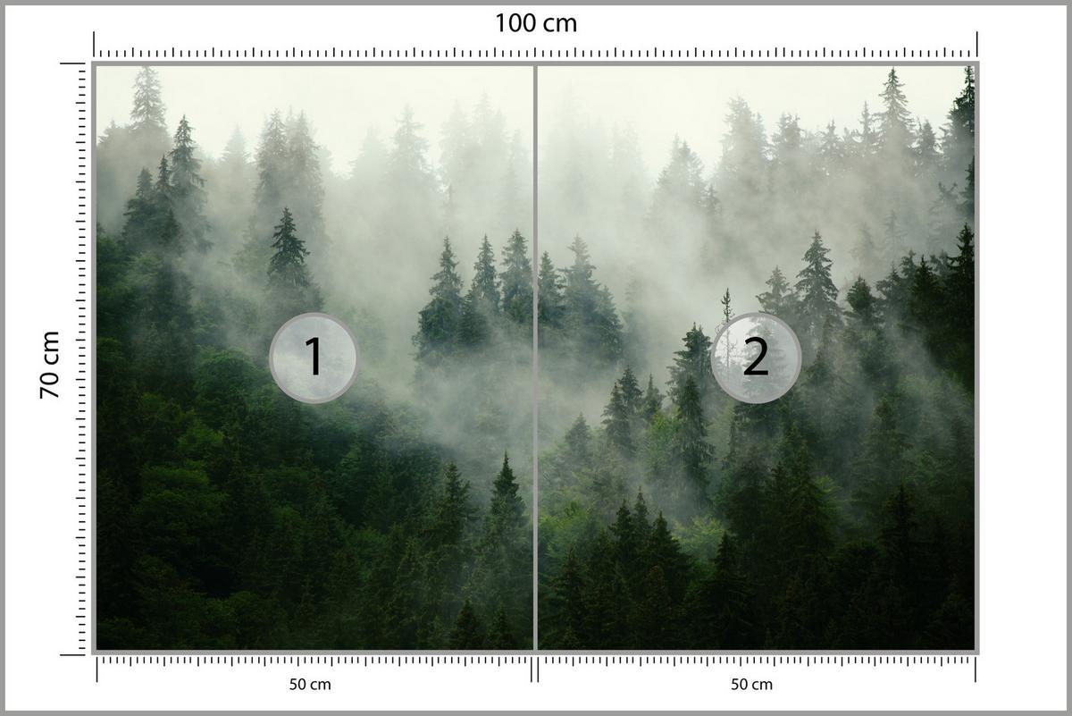 FOTOTAPETE Wald im Nebel Natur Landschaft 3D 100x70 - Grau/Grün, Papier (100/70cm) - Muralo