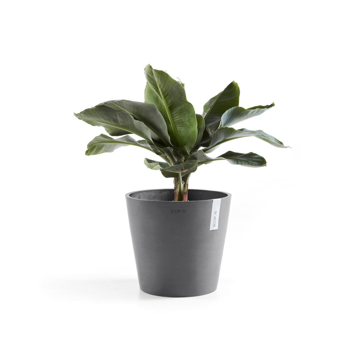 BLUMENTOPF Amsterdam 30/25,4 cm Grau - Grau, Kunststoff (30/25.4cm) - Ecopots