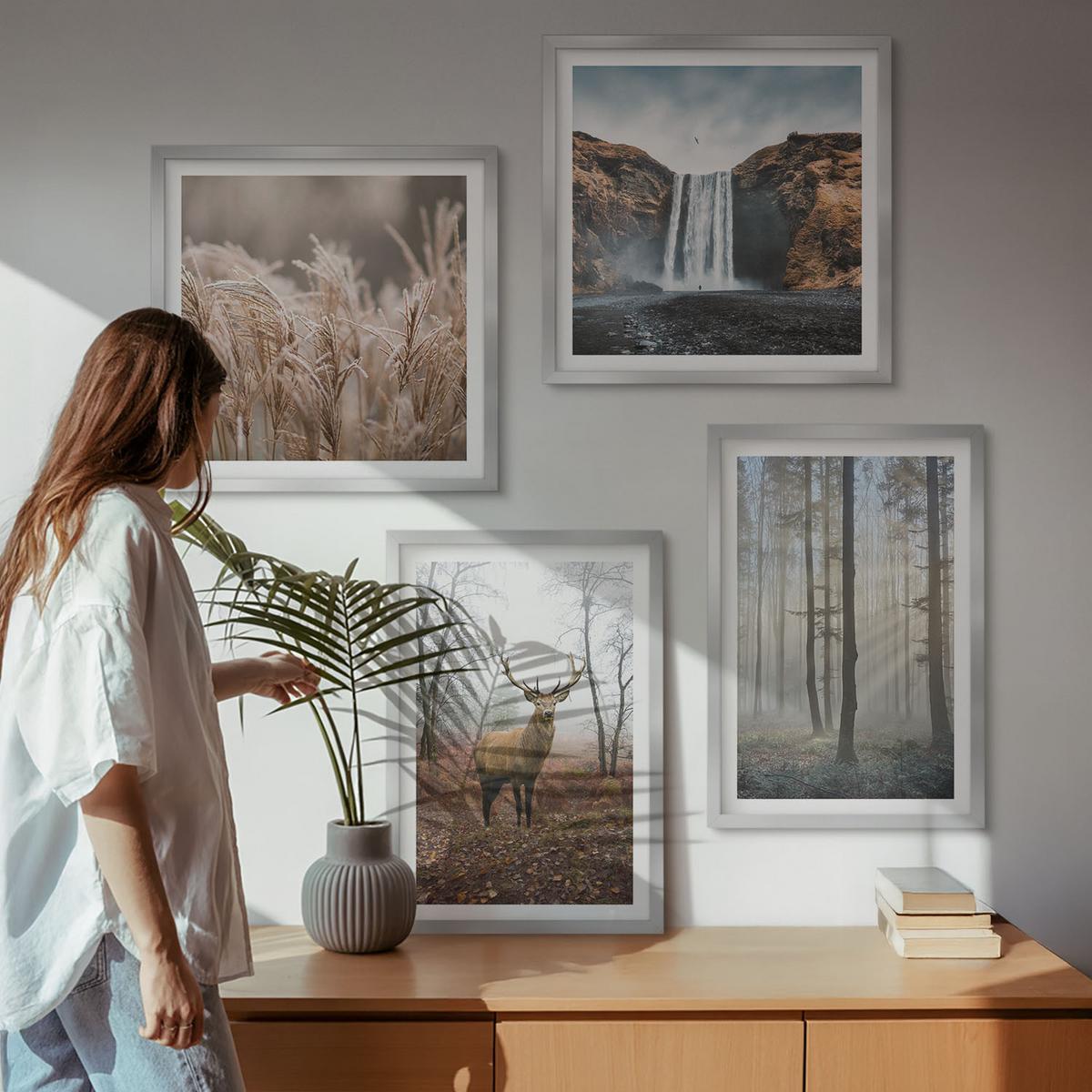 BILDER SET 4er Set - 50x50 cm & 40x60 cm Silberner Rahmen - Waldlandschaften der Wildnis - Silberfarben, Kunststoff (50/50cm) - TULUP