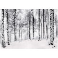 FOTOTAPETE 3D Effekt Birken Wald Bäume Tapete Wohnzimmer 200x140 - Multicolor, Papier (200/140cm) - Wallarena