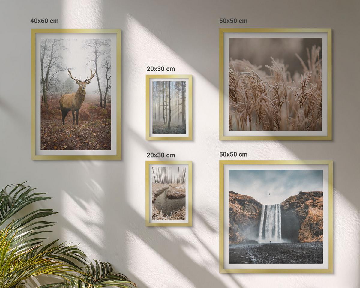 BILDER SET 5er Set - 50x50 cm & 20x30 cm & 40x60 cm Goldrahmen - Die charmanten Straßen der Hafenstädte - Goldfarben, Kunststoff (40/60cm) - TULUP