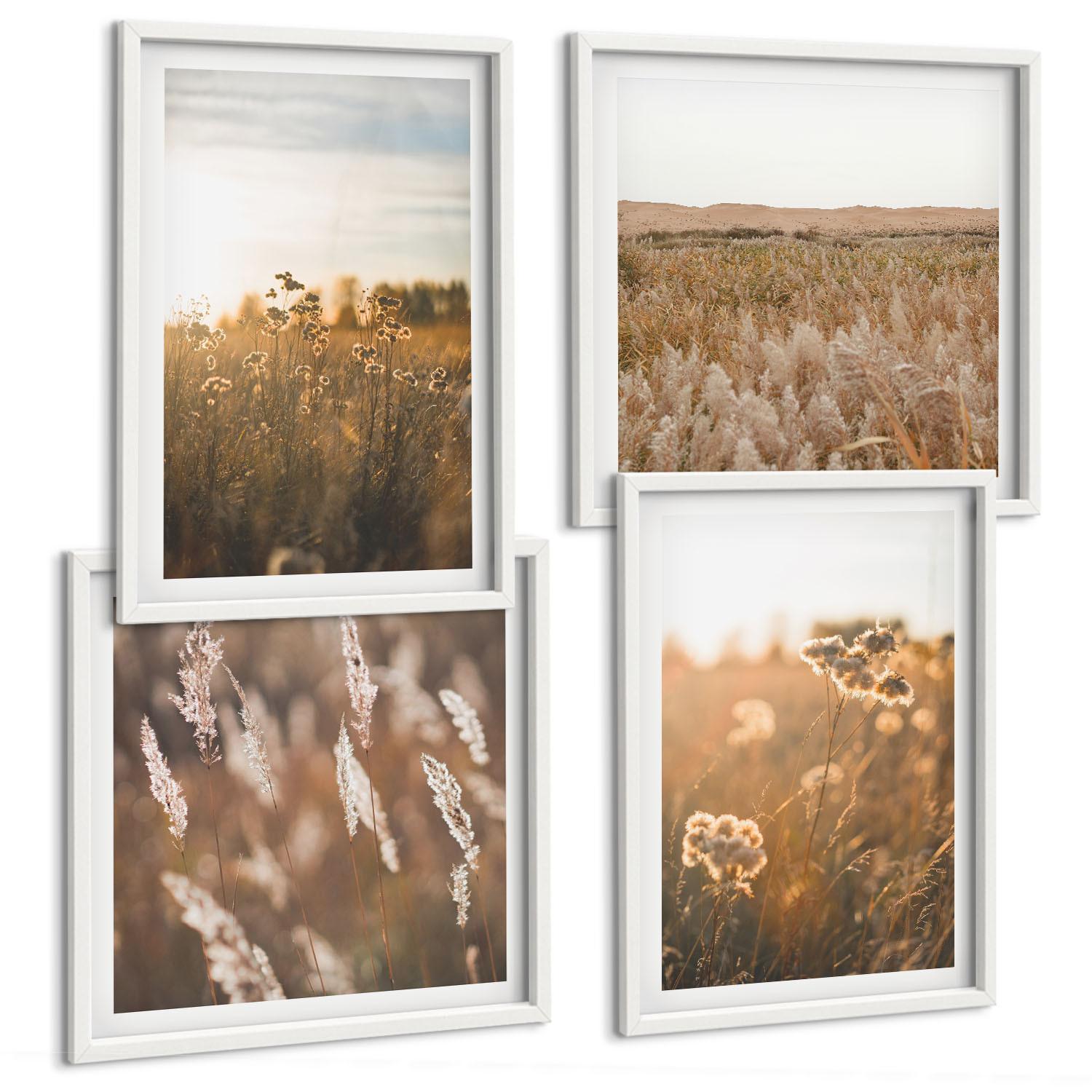 BILDER SET 4er Set - 50x50 cm & 40x60 cm Weißer Rahmen - Sommerwiesenblumen Sonnenuntergang - Weiß, Kunststoff (50/50cm) - TULUP