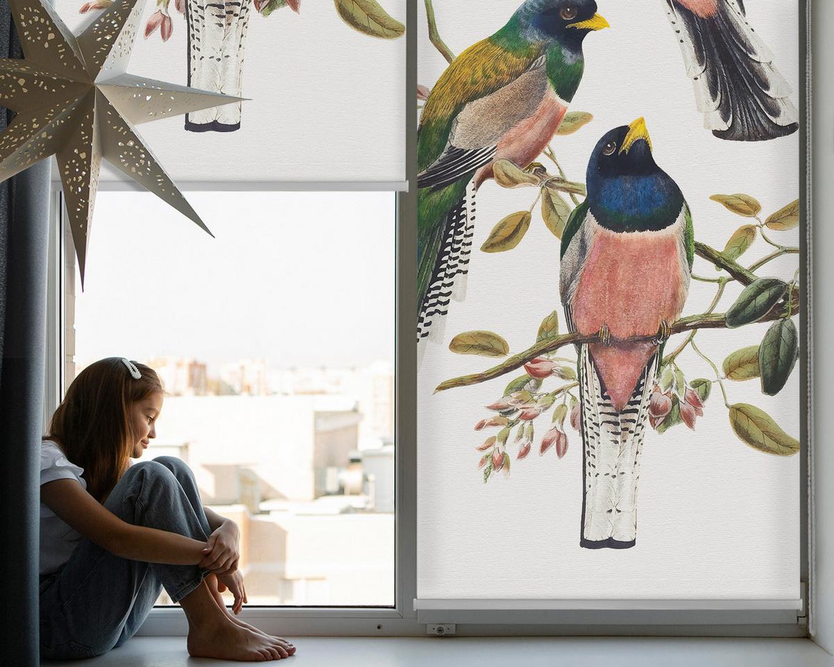 INNENROLLO - Fensterrollo - Rollo - 120x140 cm - Vögel auf den Ästen - Grau, Kunststoff (120/140/0.5cm) - TULUP
