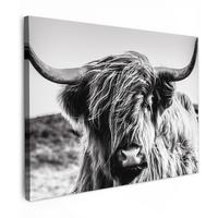 LEINWANDBILD Kuh - Schottischer Hochländer - Schwarz - Weiß - Tier - Natur - Wildtiere Wandbilder 80x60 cm - Schwarz, Textil (80/60cm) - MuchoWow