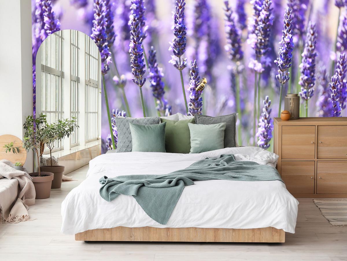 FOTOTAPETE für Küche Lavendelwiese Blumen Kräuter 450x315 - Violett/Grün, Papier (450/315cm) - Muralo