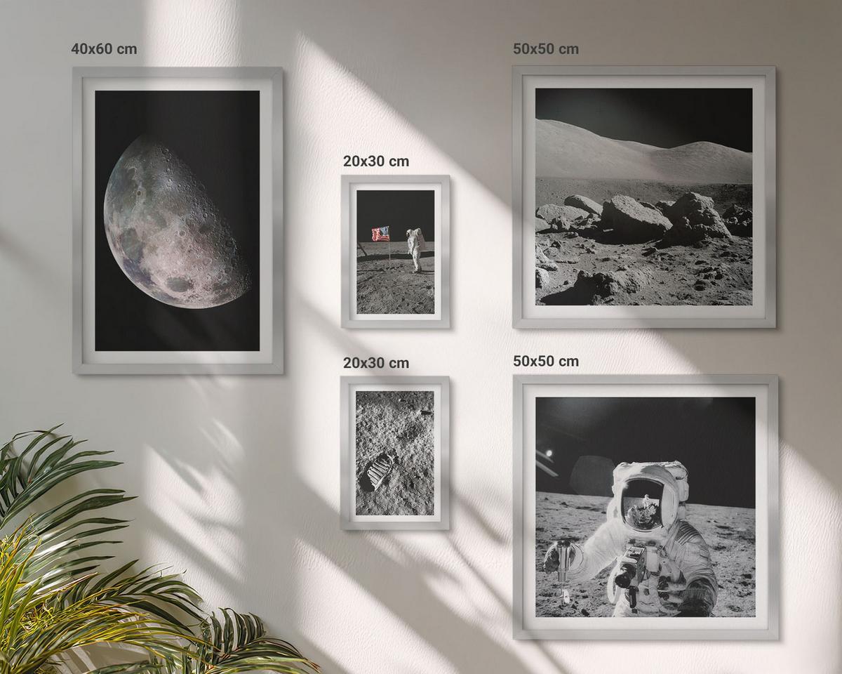 BILDER SET 5er Set - 50x50 cm & 20x30 cm & 40x60 cm Silberner Rahmen - Gemälde von Zitronenbäumen - Silberfarben, Kunststoff (40/60cm) - TULUP