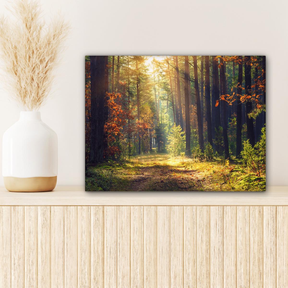 LEINWANDBILD Wald - Herbst - Bäume Wandbild 40x30 cm - Dunkelgrün, Textil (40/30cm) - MuchoWow