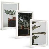 BILDER SET 3er Set - 40x60 cm Weißer Rahmen - Rustikale Topfpflanzen - Weiß, Kunststoff (40/60cm) - TULUP