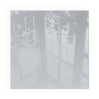 GLASPLATTE für Kamin 50x50 cm - Grau, Glas (50/50/0.4cm) - TULUP