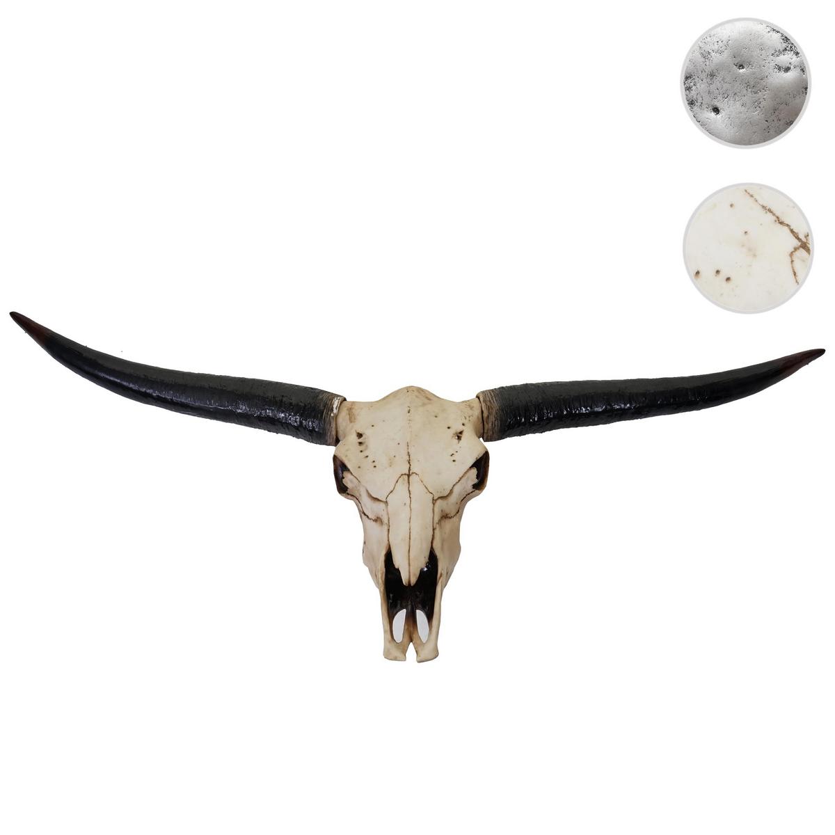DEKO SCHÄDEL STIER Beige, Schwarz - Beige/Schwarz, Stein (132/56/15cm) - MCW