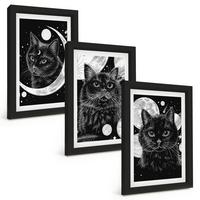 BILDER SET 3er Set - 20x30 cm Schwarzer Rahmen - Schwarze Katzen, Mond, Weltraum - Schwarz, Kunststoff (20/30cm) - TULUP